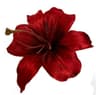 Profile picture of Wadeen